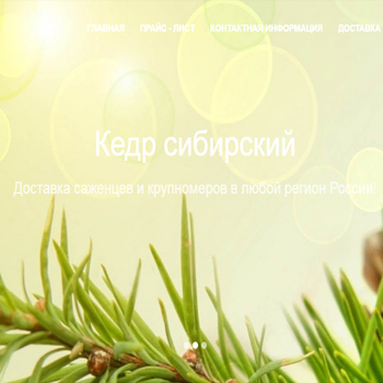 Создание сайта - Кострома N3